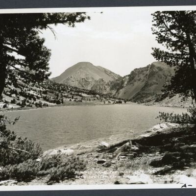 Print, Photographic