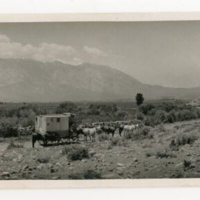 Print, Photographic
