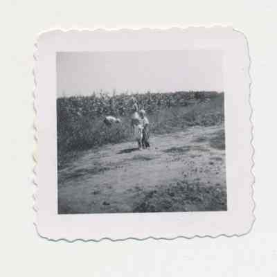 1991.13.1.242