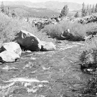 Print, Photographic