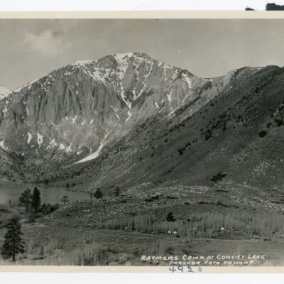 Print, Photographic