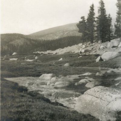 Print, Photographic