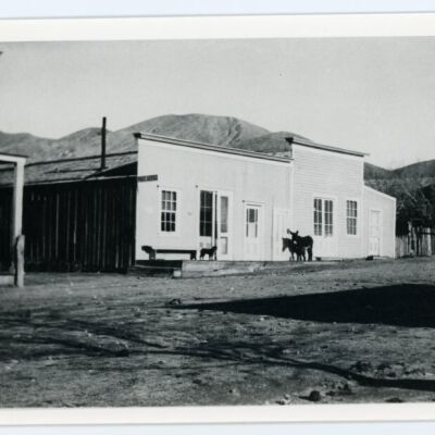 Print, Photographic