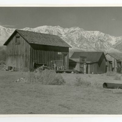 Print, Photographic