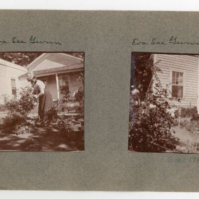 Print, Photographic