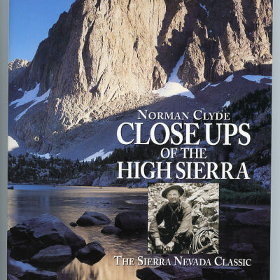 Close Ups of the High Sierra