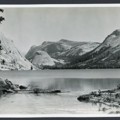 Print, Photographic