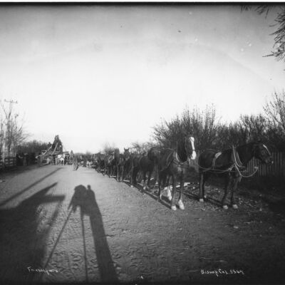 Print, Photographic