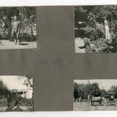 Print, Photographic