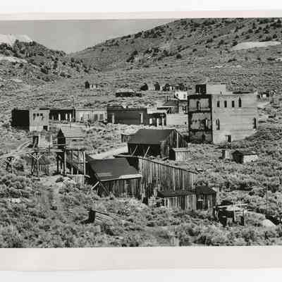 Print, Photographic