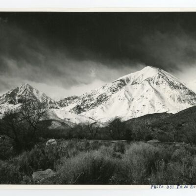 Print, Photographic