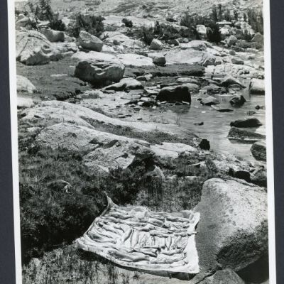 Print, Photographic