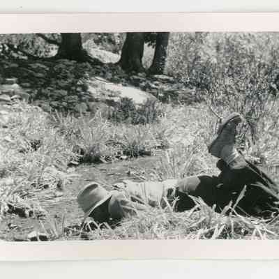 Print, Photographic