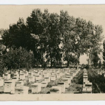 Print, Postcard