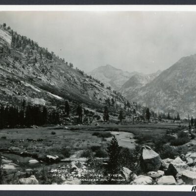 Print, Photographic