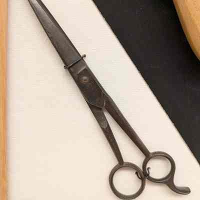 Hair Scissors