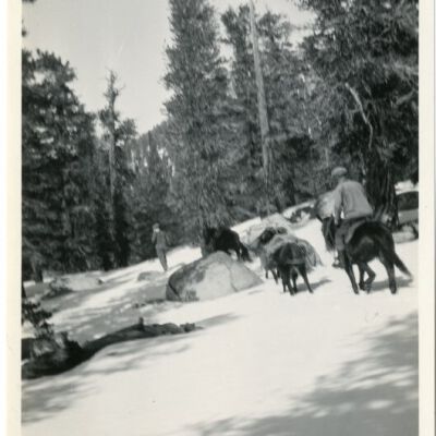 Print, Photographic