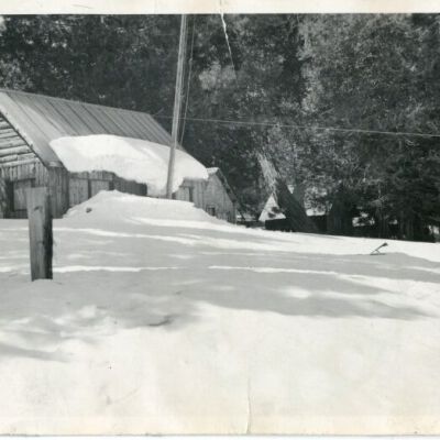 Print, Photographic