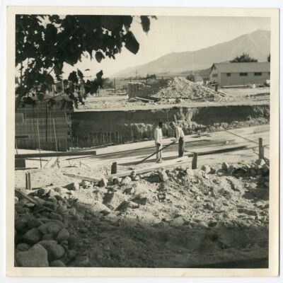 Print, Photographic