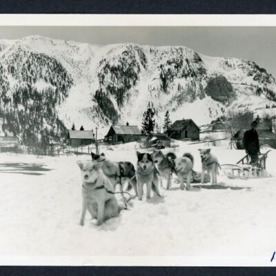 Print, Photographic
