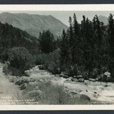 Print, Photographic