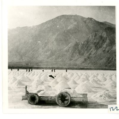 Print, Photographic