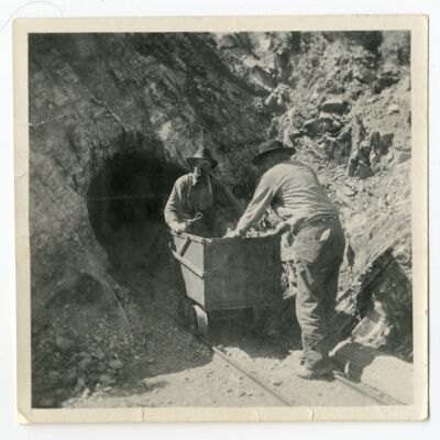 Print, Photographic