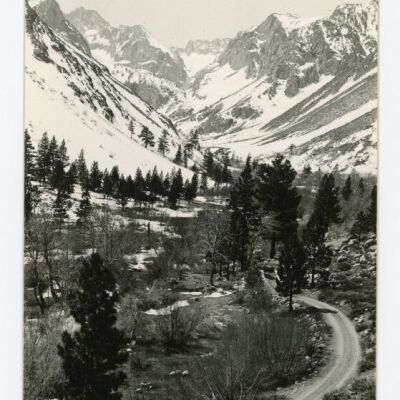 Print, Postcard