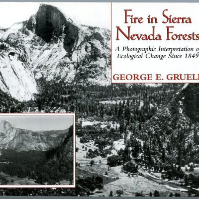 Fire in Sierra Nevada Forests: A Photographic Interpretation of Ecological Change Since 1849