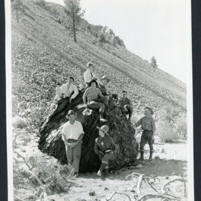 Print, Photographic