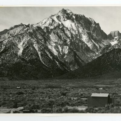 Print, Photographic