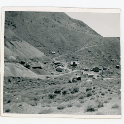 Print, Photographic