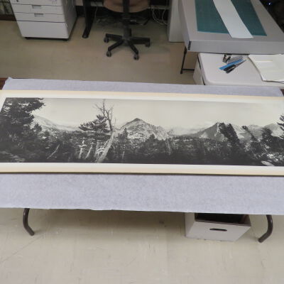 Print, Photographic
