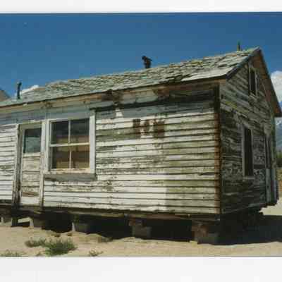 Print, Photographic