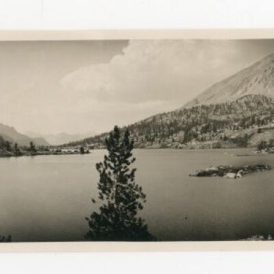 Print, Photographic