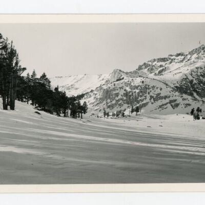Print, Photographic