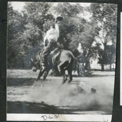 Print, Photographic