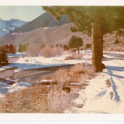 Print, Photographic