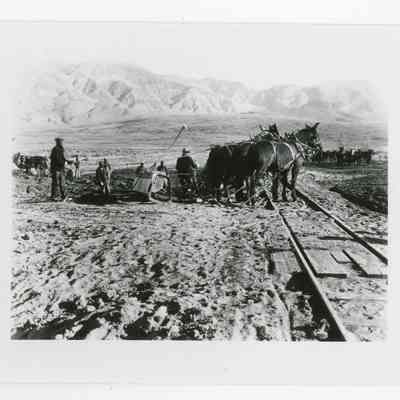 Print, Photographic