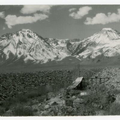 Print, Photographic