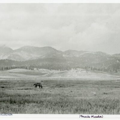 Monache Meadow