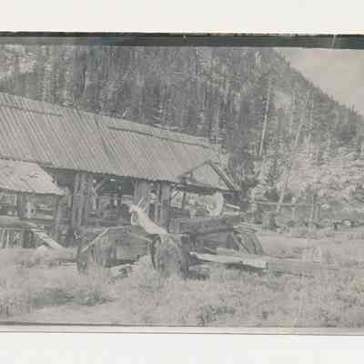 Print, Photographic