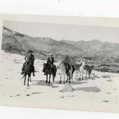 Print, Photographic