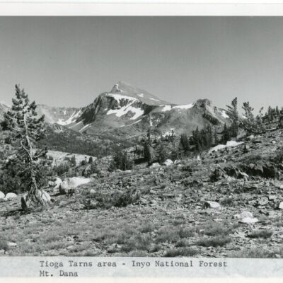 Tioga Tarns area - Inyo National Forest Mt. Dana