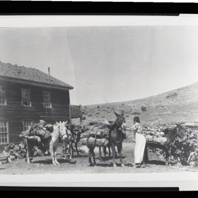 Print, Photographic