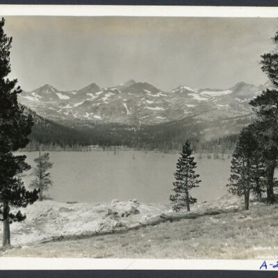 Print, Photographic