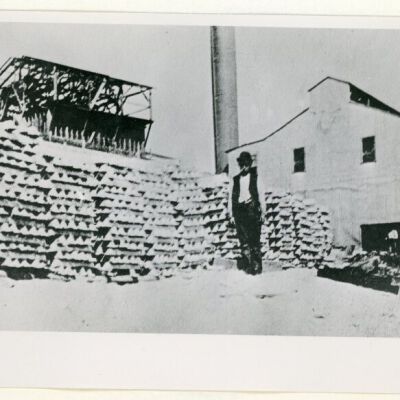 Print, Photographic