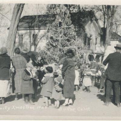 Community Xmas Tree, 1925, Big Pine, Calif.