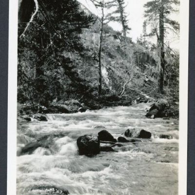 Print, Photographic
