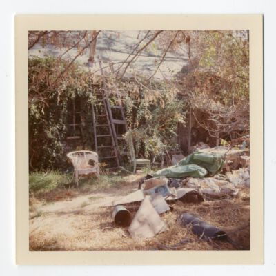 Print, Photographic